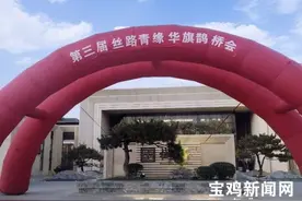 宝鸡：政府牵线当红娘 帮单身青年找对象图片