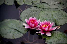 追求女人，不用频繁联系，做好三件事情就能轻而易举图片