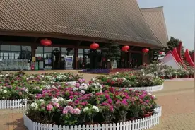 婆婆该怎么当图片