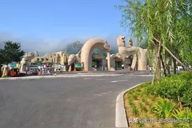 国家AAAA级旅游景区，青岛森林野生动物园！超萌动物宝宝！图片