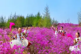 【头条】龙井犇福牧场开园至5月10日图片