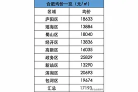 ​合肥买房地图出炉！首付30万/40万/50万/60万+能买到这些盘图片