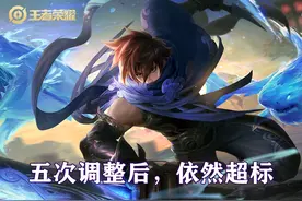 上线不到一年，五次调整的澜依然超标，常年被禁，该继续削弱吗？图片