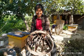 农村7旬大妈独居田园，与74箱野货2只狗狗相伴，看活成啥样图片