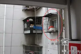 因为一个疏忽，女子洗澡被男邻居多次偷拍！十堰警方出手了！图片