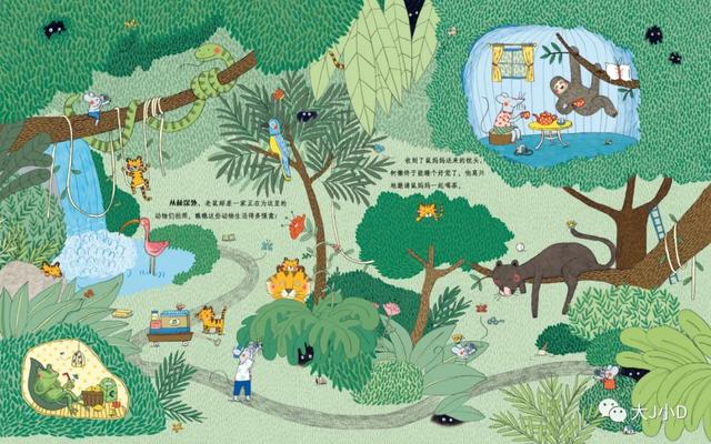 经典绘本大推荐