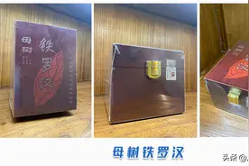 武夷岩茶｜一看就懂的曦瓜内鬼洞母树铁罗汉，绝对干货图片