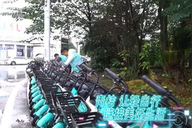 注意注意！南充共享电单车迎来“大体检”图片