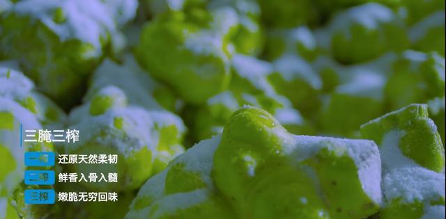 到底什么是三腌三榨