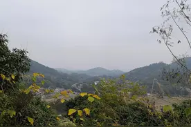 风水之流派图片