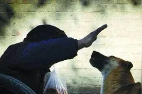 若你家狗狗有这6个举动，劝你先狠狠打它一顿图片