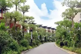 从化温泉镇保利桃花源~超值住四房别墅，是时候组队轰趴了！超正图片