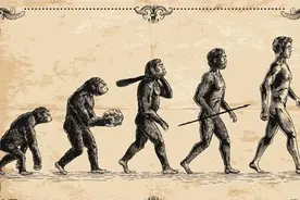 人类到底来自于哪里？可能是遥远的星空，科学家在DNA中发现线索图片
