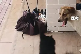 「执业医师」22年报考不了解？看完帮你解决全部考试问题图片