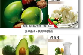 乳木果油是牛油果树的果脂吗？图片