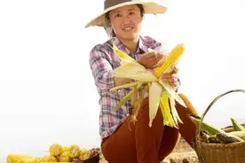 有家的中年女人，为啥宁愿外面打工也不想回家？3个女人说了实话图片