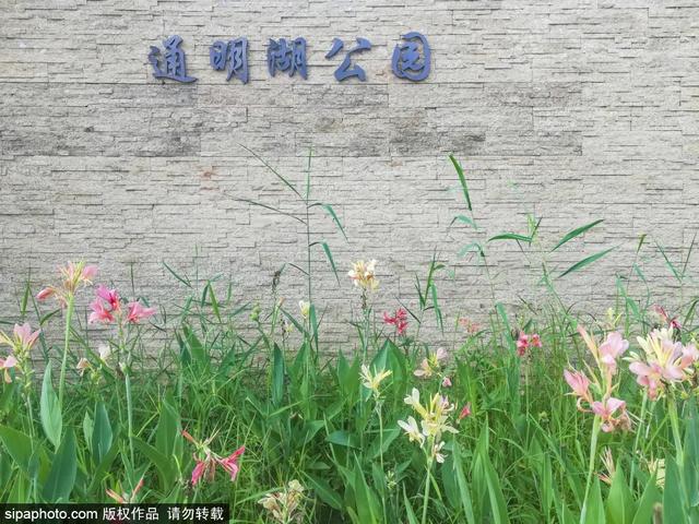 通州有哪些好玩的地方推荐（免费还不用预约这个公园人少景美）