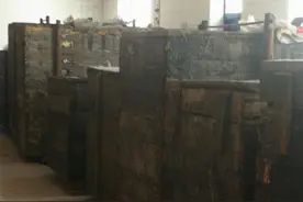 东北巨富传奇——含泪的怒狮图片