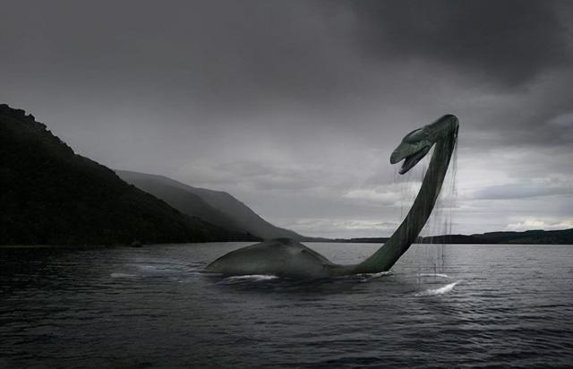 长白山天池出现"水怪",仅脖子就有1米长,这到底是什么生物?