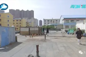 咋回事？呼和浩特一小区居然经常夜半鸡叫图片