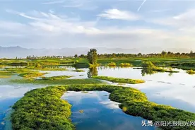 新西安新名片征文选登(27)图片