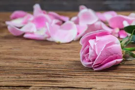 如果你正经历一段爱而不得的感情，记住这三句话，就能解脱了图片