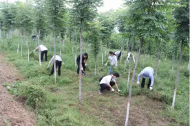宝丰县荣泽水利公司党建引领 奋力开创高质量发展新局面图片