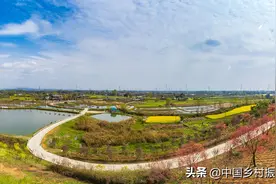 发达国家农村重振经验新思考图片