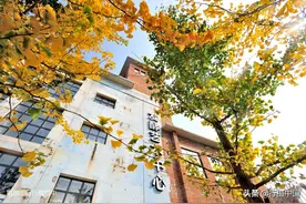 沈阳最大药厂拆迁，铸造厂味精厂工人村成旅游景区，国庆来打卡吗图片