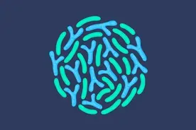 上交大PNAS：免疫治疗诱肠炎，双歧杆菌来缓解？图片