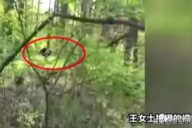 女子上山挖野菜，连续两天遇“黑熊”？图片