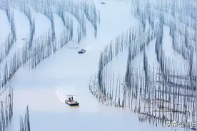 同频的人，灵魂会认出对方图片