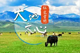 看见青海 |“大地文心”征文赏析图片
