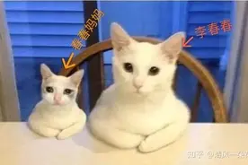 女朋友长得太漂亮是一种什么体验？图片