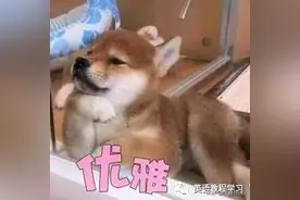 趣味英语：“工作全都做完了！”图片