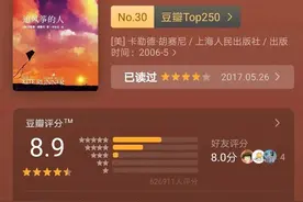 美国畅销书《追风筝的人》读后感——解读悲剧性人物:哈桑图片