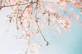 诗情花意：相思无尽处，无情不似多情苦。两首春思名诗，春愁绵绵图片