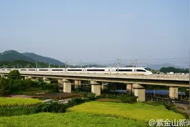 注意！4月10日起长三角铁路实施第二季度运行图，不少列车有变化图片