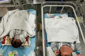 龙凤胎男宝母乳喂，女宝奶粉喂，6月后，俩娃对比“差距”大图片