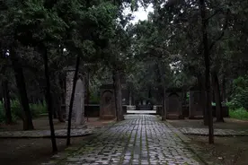 游记丨八旬老医生作家千里迢迢探查“三苏”坟茔历险记图片