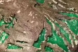 老坑莫湾基翡翠原石，开窗后居然是养眼的冰阳绿戒面级别！棒呆啦图片