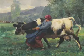 牛脾气？牛真的脾气大吗？丨牛年说牛图片