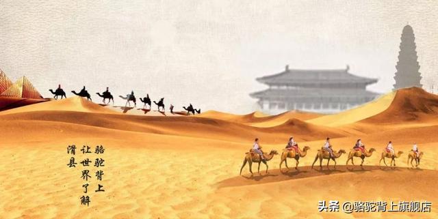 枸杞的功效与食用方法