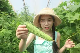 钓鱼骑马、野炊划船、采摘避暑......长春周边这几家特色农家乐山庄，你去过几个？图片