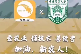 春天一到，杨柳絮满天飘，为啥不换栽别的树呢？图片