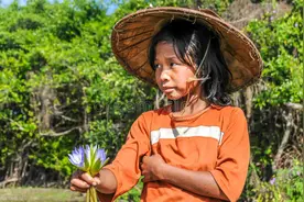 “哥哥，给姐姐买一束花吧！”揭秘街头卖花女童背后的邪恶产业链图片