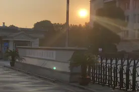 天目新闻直击庭审现场：劳荣枝否认合谋杀害小木匠 自愿为法子英卖淫图片