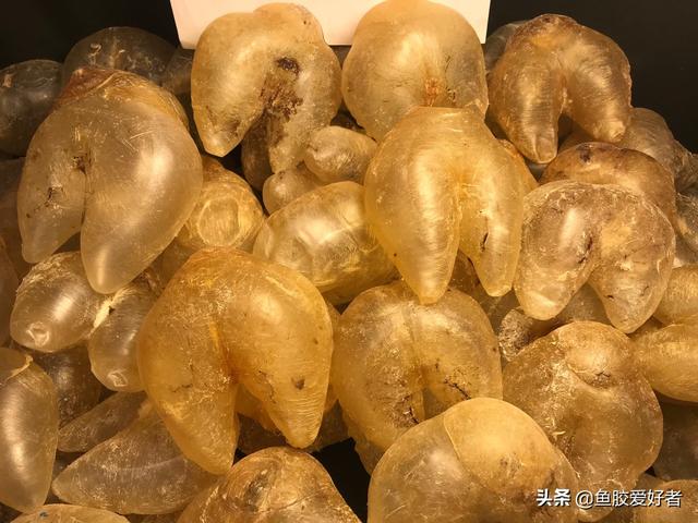 备孕期选什么花胶 备孕期选什么花胶最好