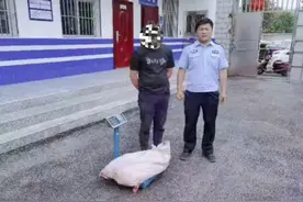 跨省作案，陕西一男子跑到湖北电鱼，被抓时鱼获一麻袋图片