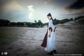 小说：一人一猴遇高手围攻，小伙还没说话，猴子就开骂，高手怒了图片